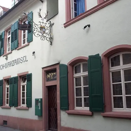 Weinstube Schwarzamsel Apartment Speyer Exterior photo