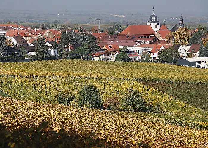 Weinstube Schwarzamsel