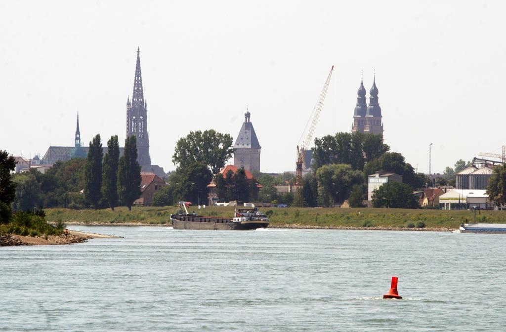 Weinstube Schwarzamsel Speyer