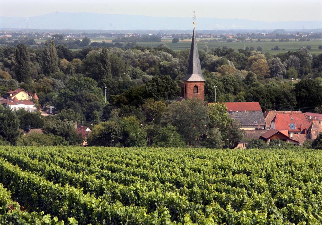 Weinstube Schwarzamsel * Speyer