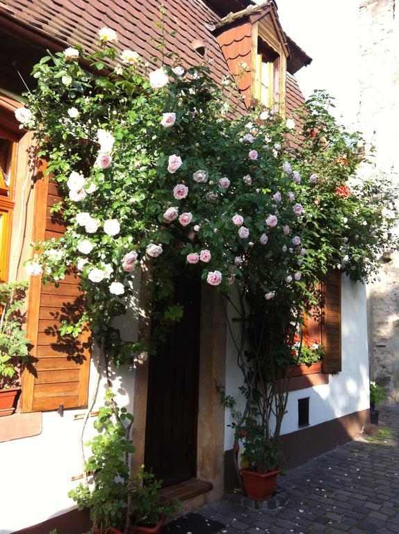 Weinstube Schwarzamsel Apartment Speyer